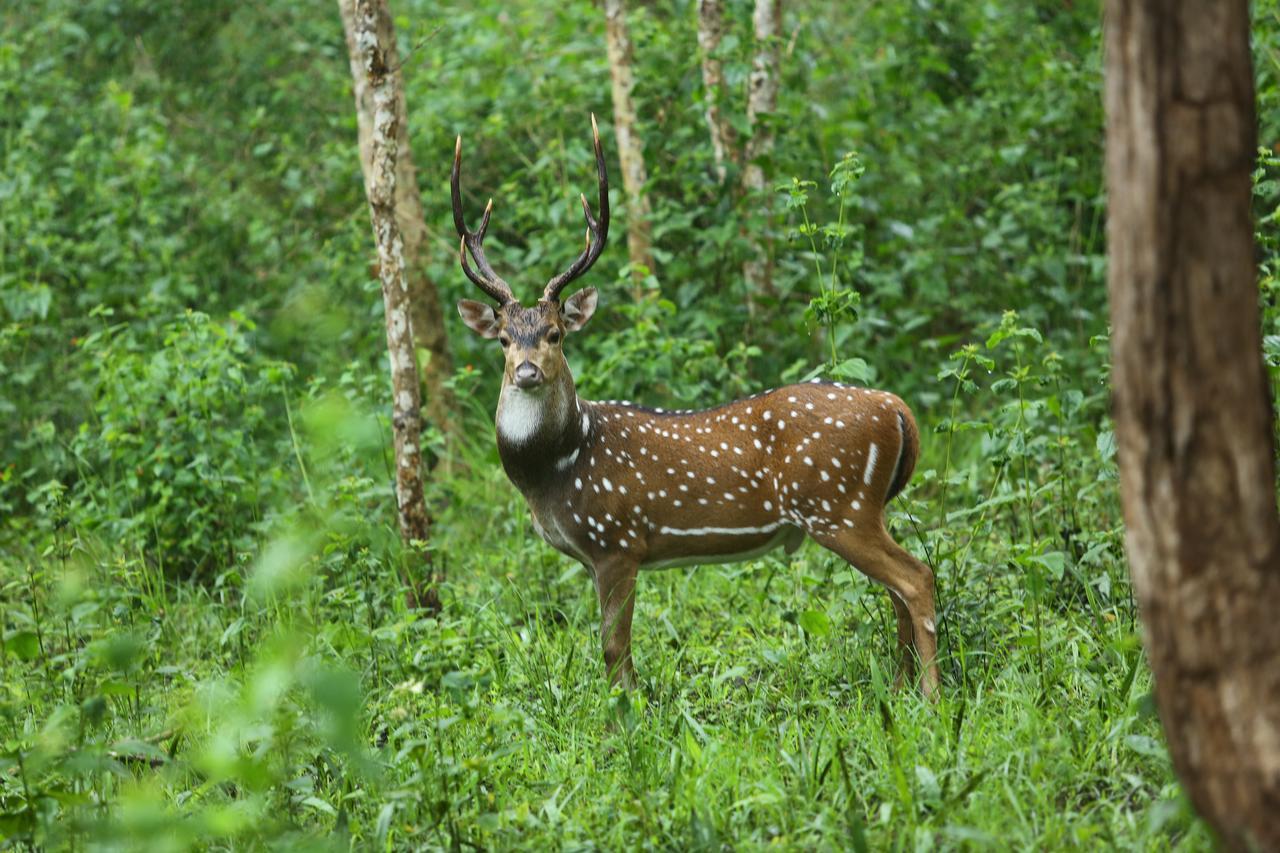 Exoticaholidays สุลต่านบาเทรี ภายนอก รูปภาพ